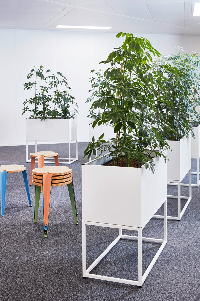 Modules pour plantes combinés avec Frame