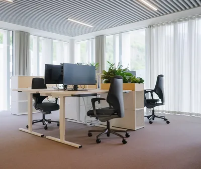 Das neue Desk-Modul mit integrierter Box zwischen zwei Arbeitsplätzen bietet Raum für Pflanzen